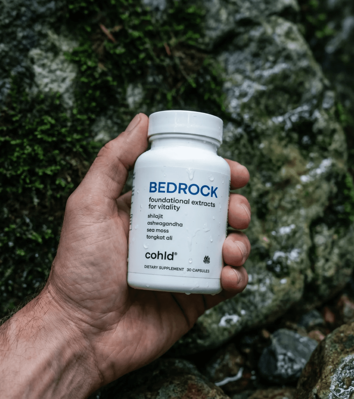 The Workhorse Stack — Creatine & Bedrock - Cohld